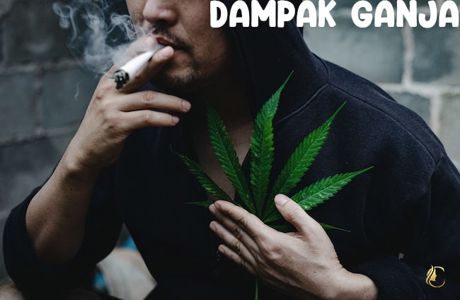 Dampak Ganja