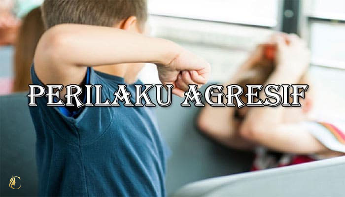 Perilaku agresif